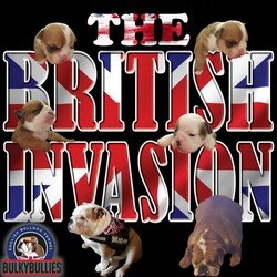 british invasion.jpg